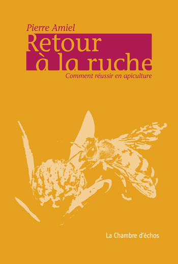 Pierre Amiel, Retour  la ruche 